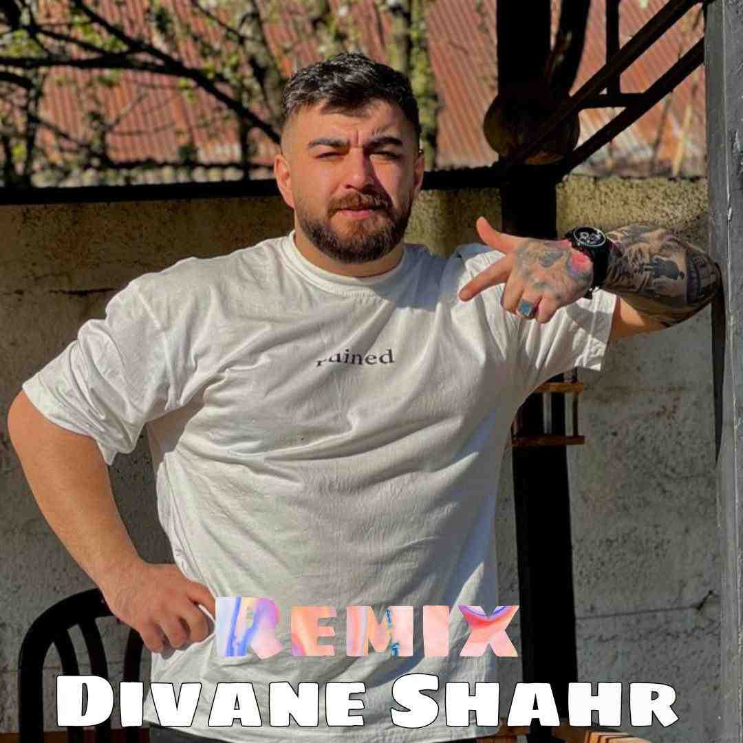 مهدی آبگون دیوانه شهر