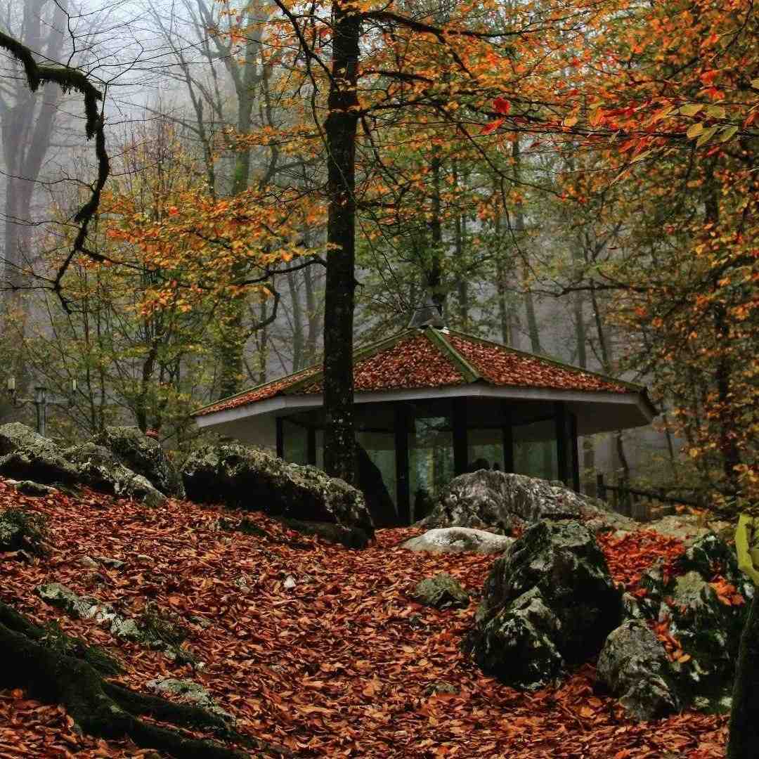  امشب از ندیدنت نه اون نمیترسه