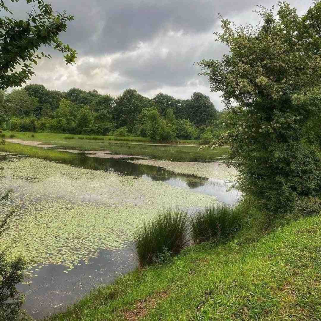  دو روزه شدم هشت کیلو لاغر