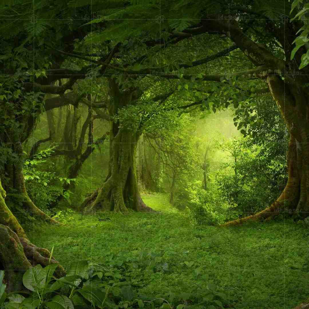 لیلا لیلا میگن که تهش قهره