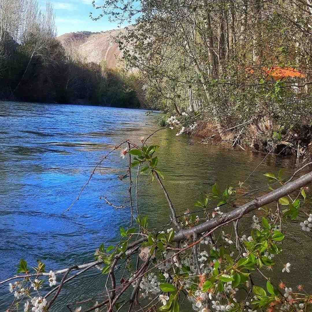 فاطمه عطایی من شی ننه ی قربون