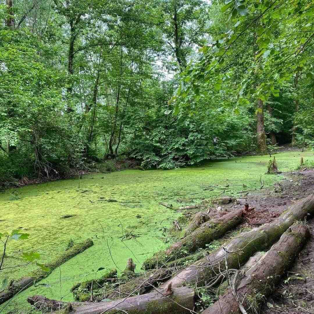 روی دریا روی ابرا توی قایق دنبال ساحلیم