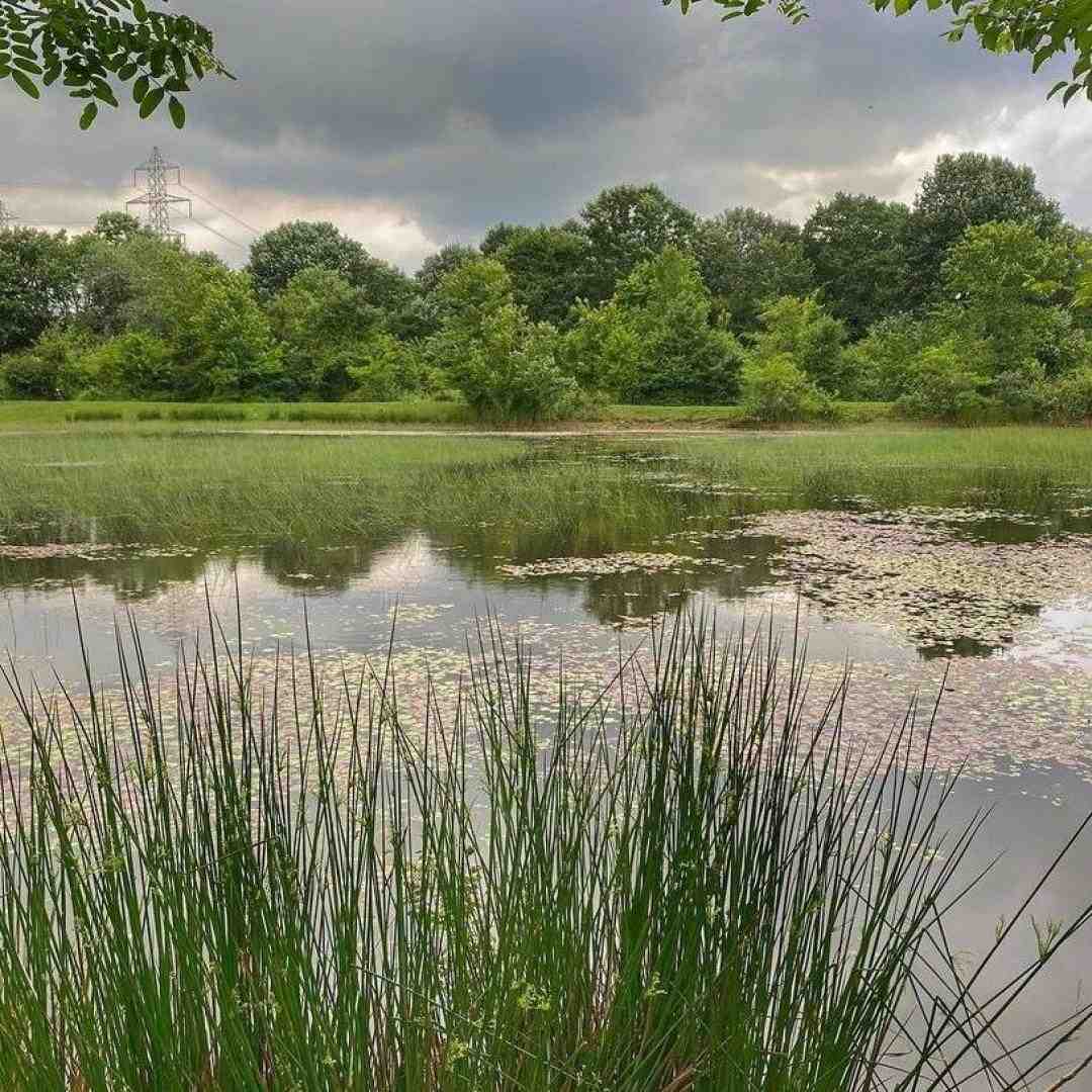 شب از خیالت در فغان روز از غمت در زاریم