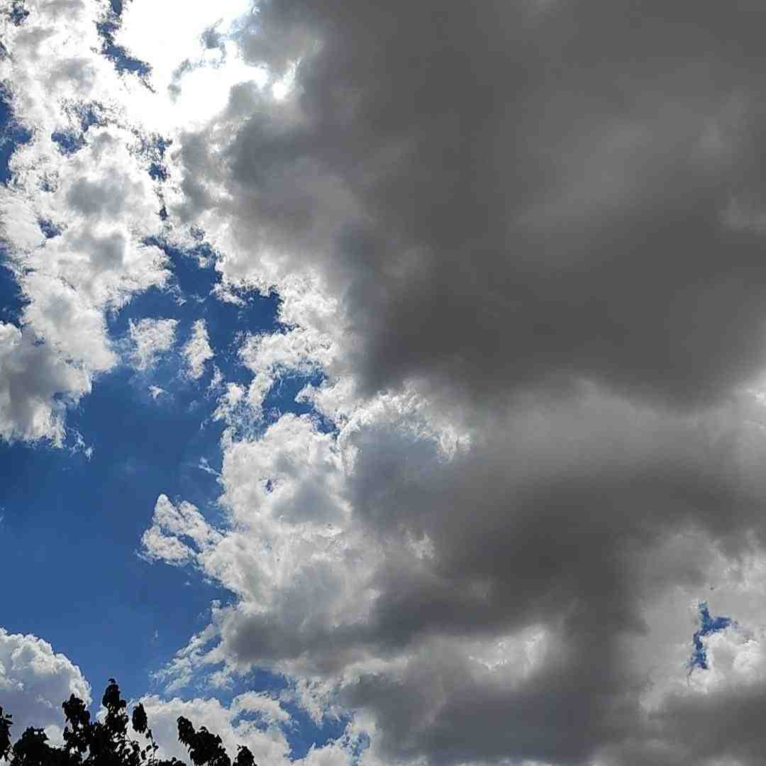 با اکیپم تا رسیدم تورو راه نمیدن وی آی پی