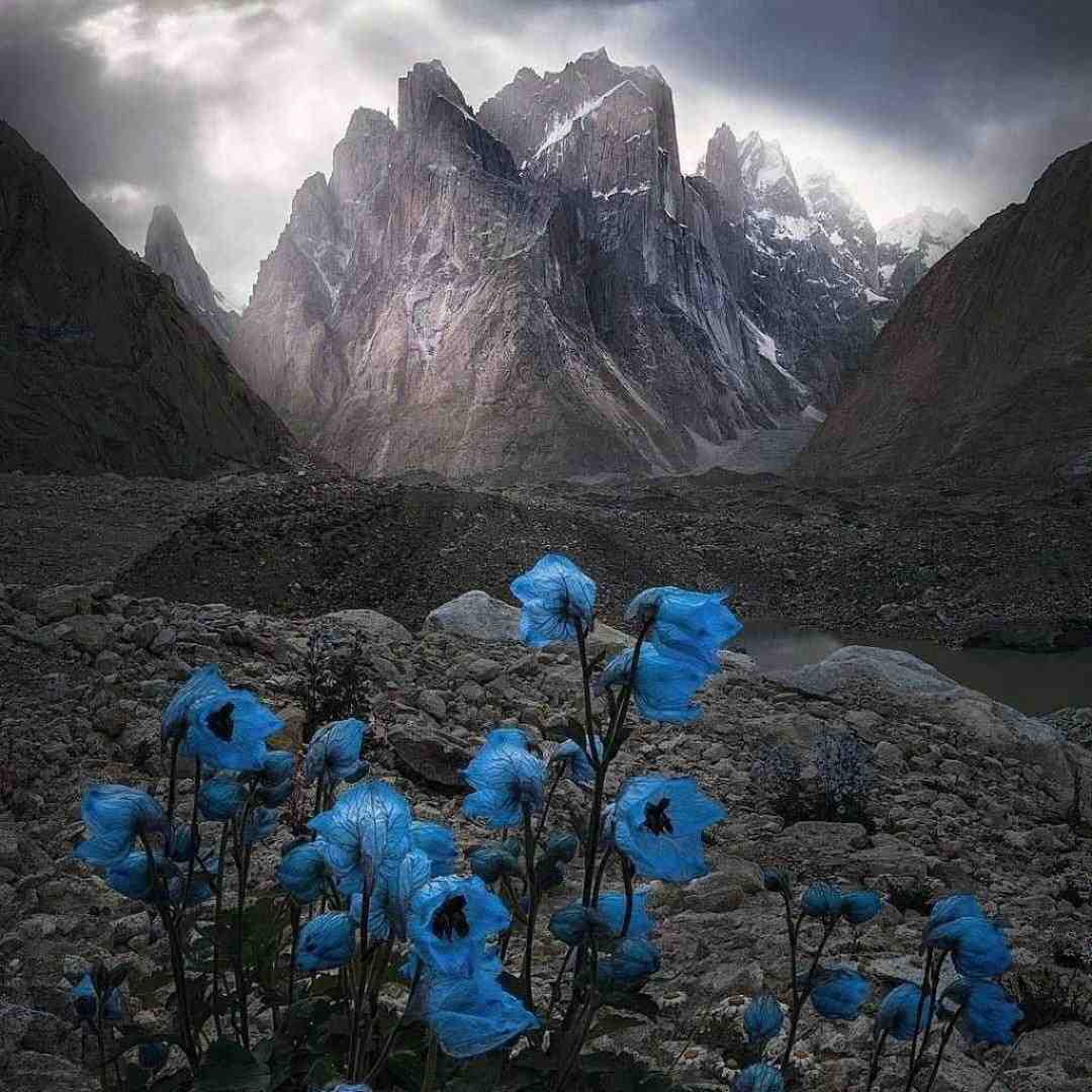 بودی پیشم صبح و شب دیدم تو رو من