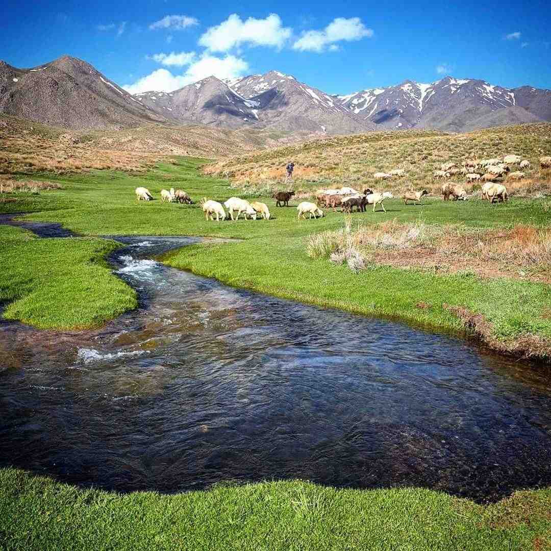  چرا واسه نجات بقیه فرشته باشم وقتی هیچکس دلش