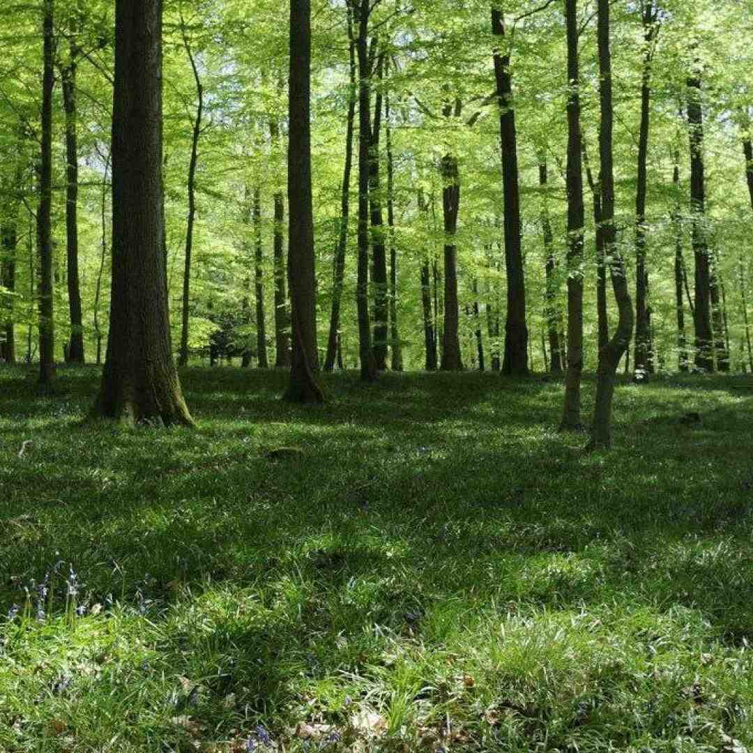 ترکیبمون با هم میشه بیبی باز