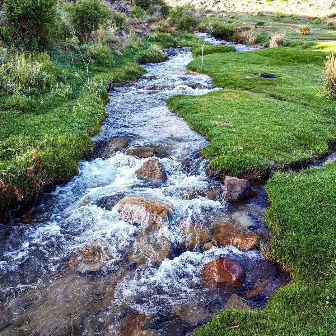 شده ام بت پرست تو قسم به چشمون مست تو با صدای زن