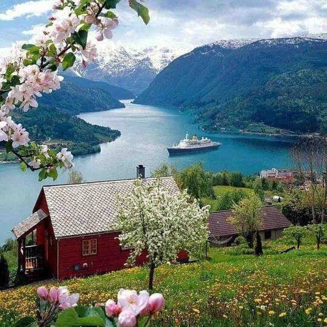 عاشق شدنم قصه ی دیوانه شدن بود با صدای پسر