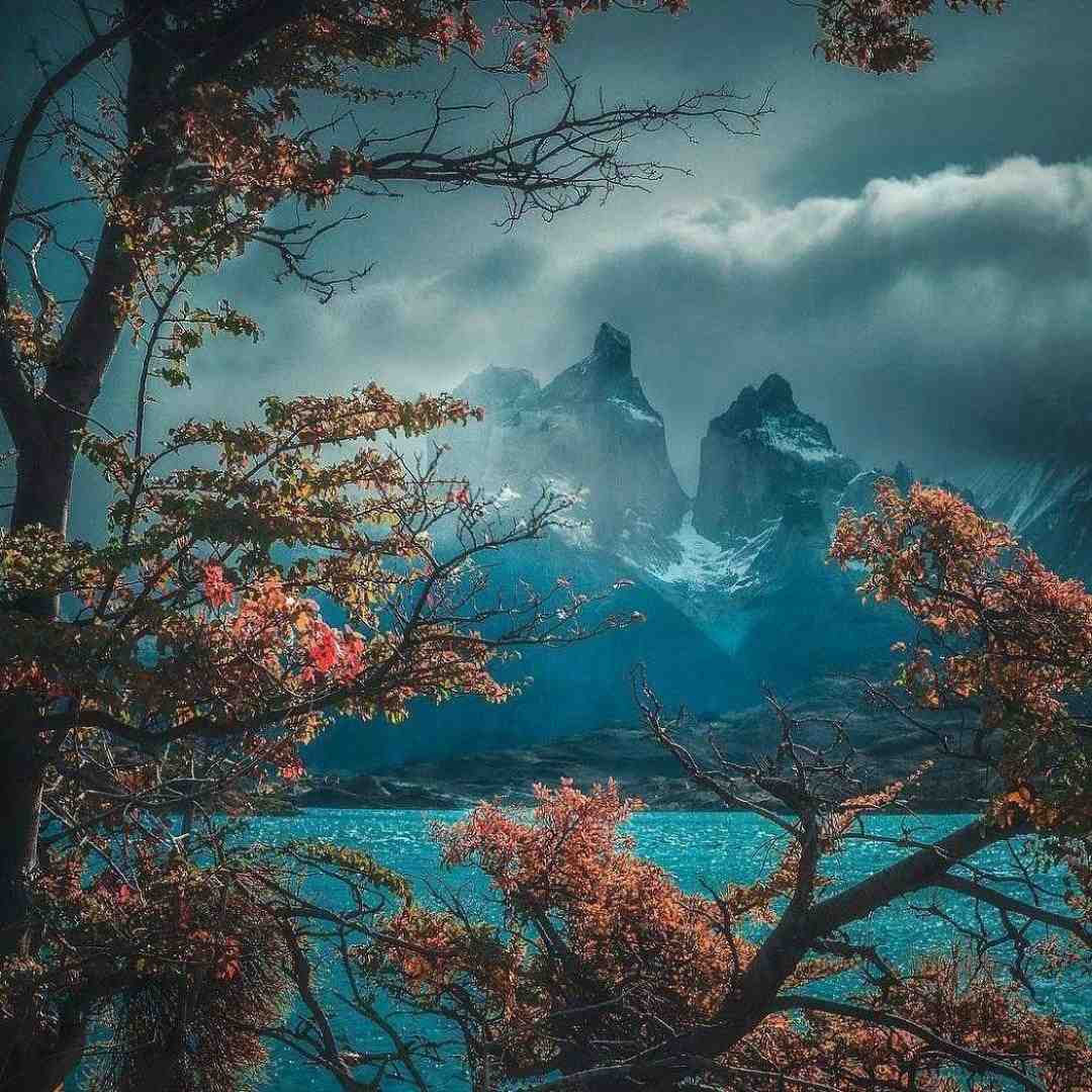  خود تو کادویی که گرفتمو گم کردی تو در قلبمو