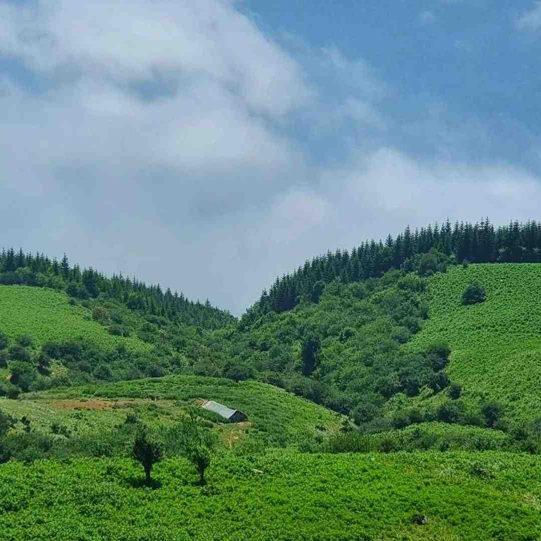 آسمون ما نمیای پر پرواز