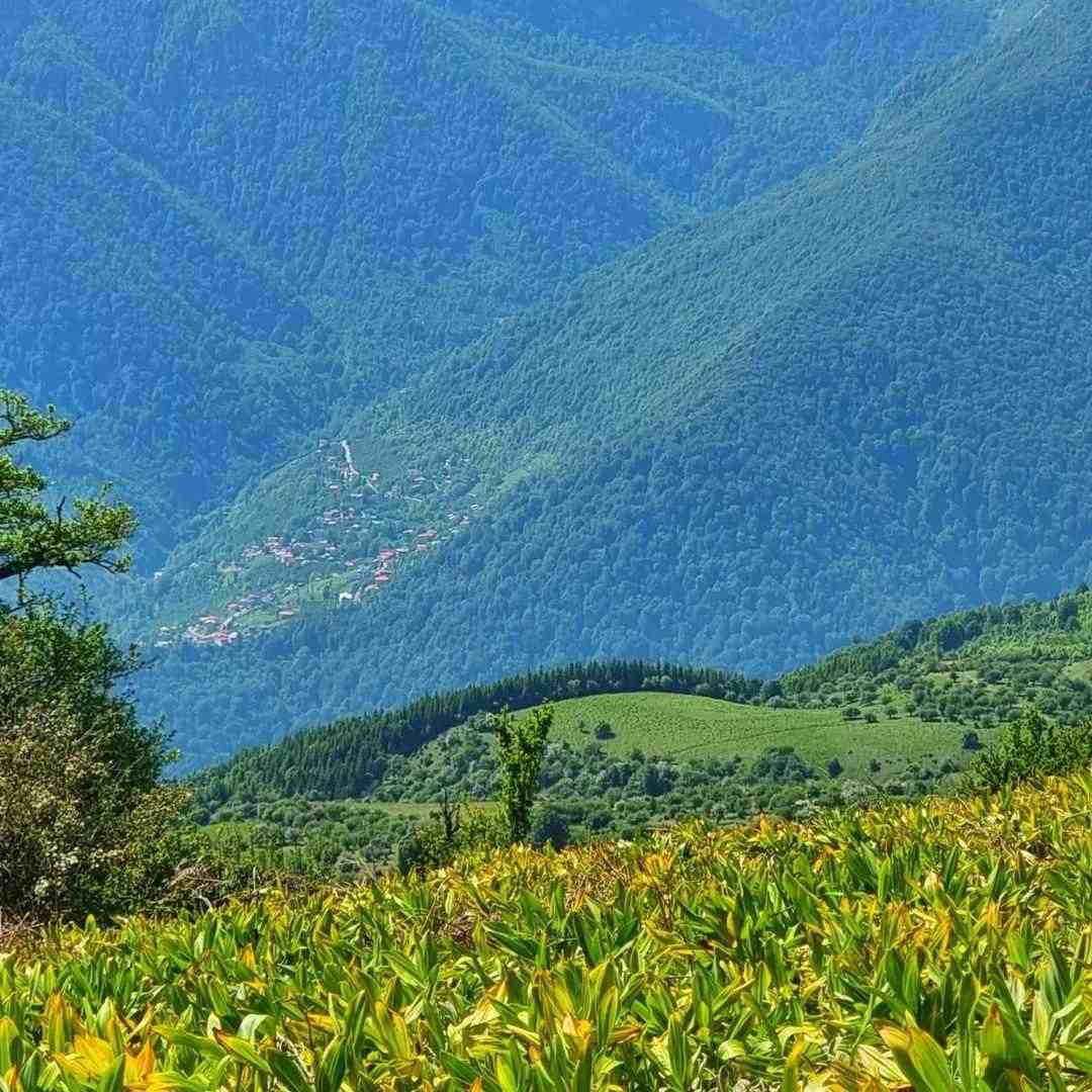  کاش میشد برگردیم قدیما با صدای زن