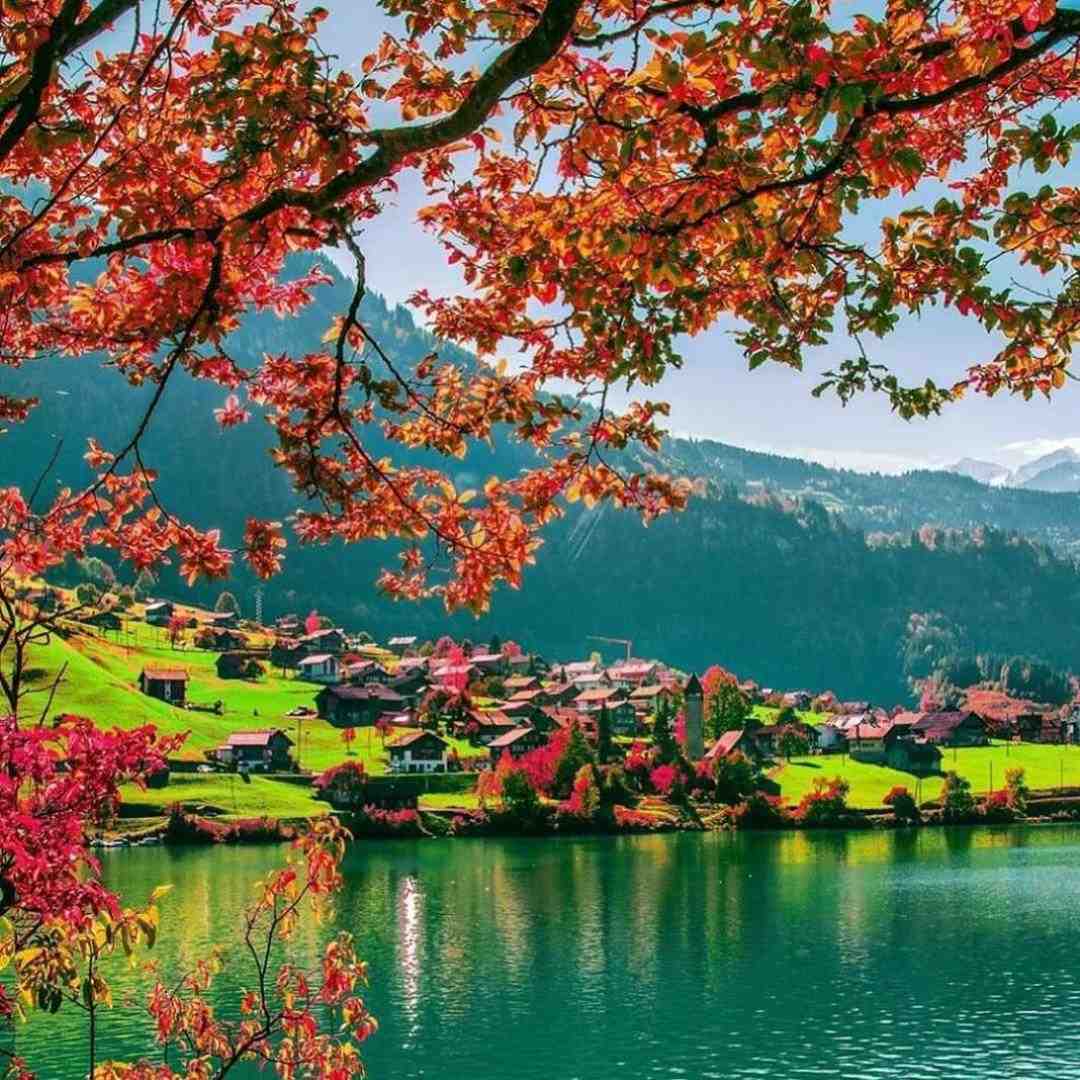 یک دو سه چهار بشماری بردمت روی کار