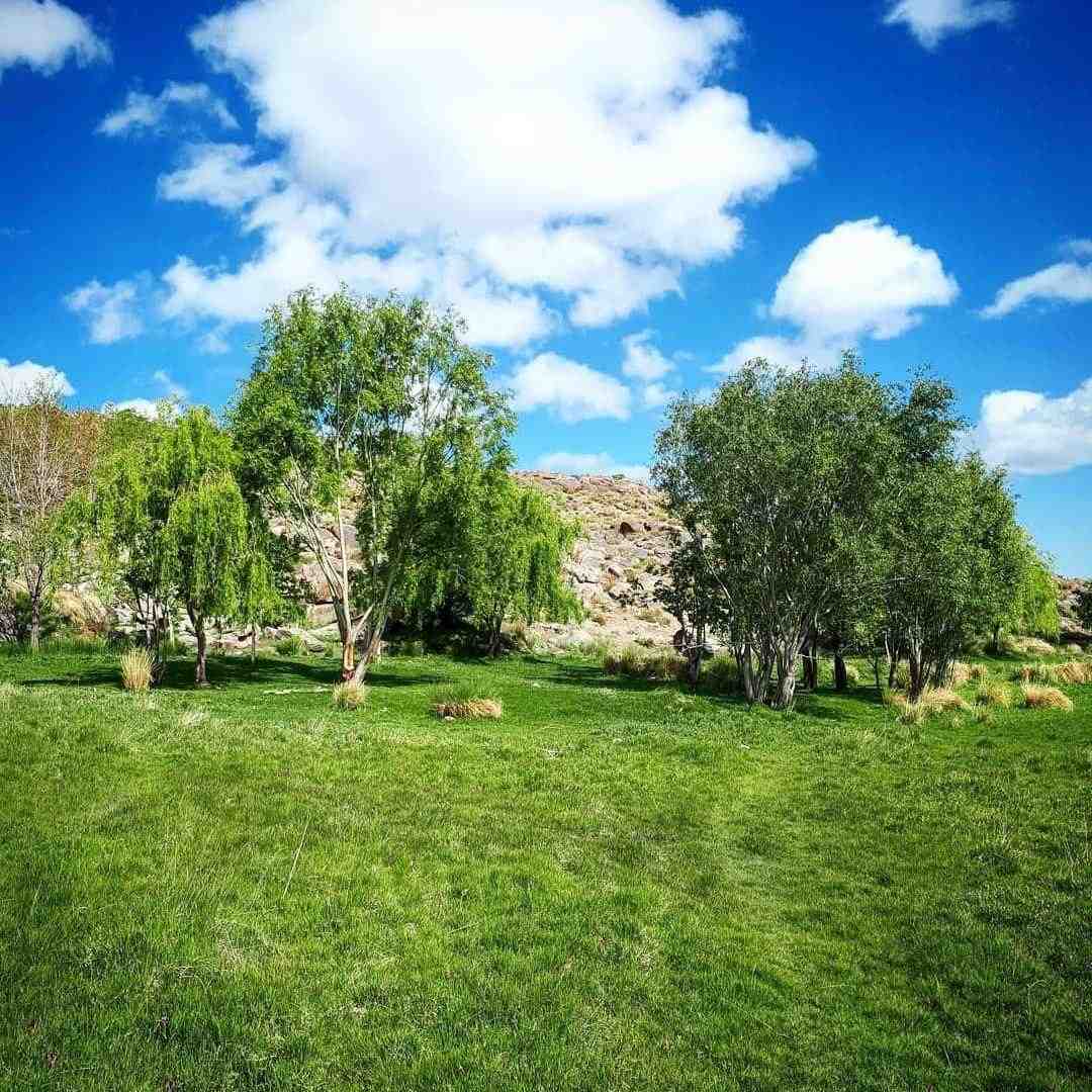  یه روز دوتایی باهم از دست همشون در میریم