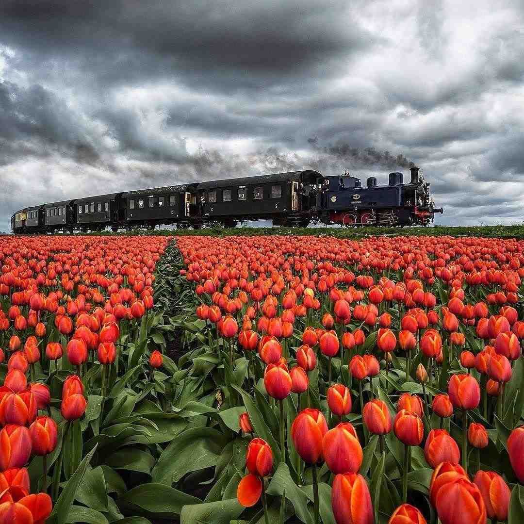  چشمام به آسمونه به حرکت ابر و باد و بارونه با صدای دختر