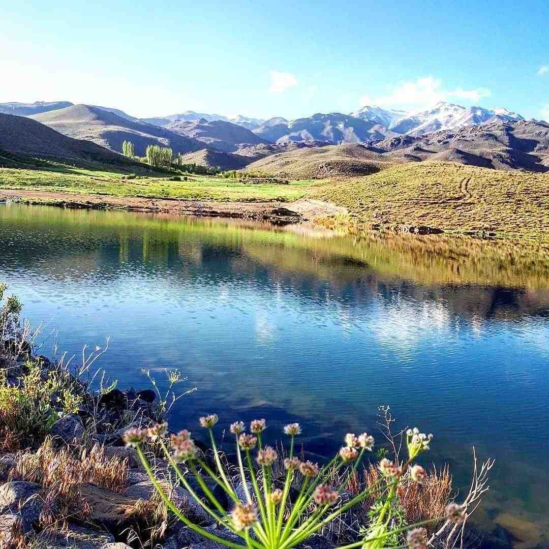 تو رفتی ولی فکر تو تو سر من موند با صدای بچه