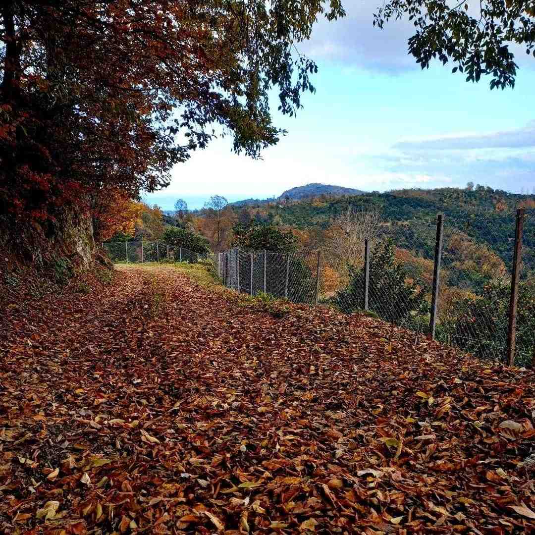  من عاشق گودی کمرتم لب رو گردنت من بلدتم