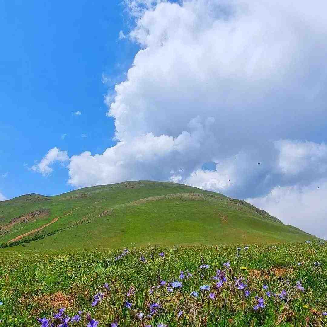  چسبوندم به هم تیکه های قلبم