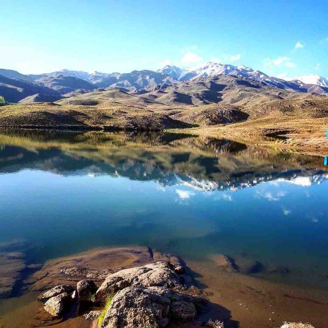 اگه داد میزدم سر تو هیچوقت نمیخواستم