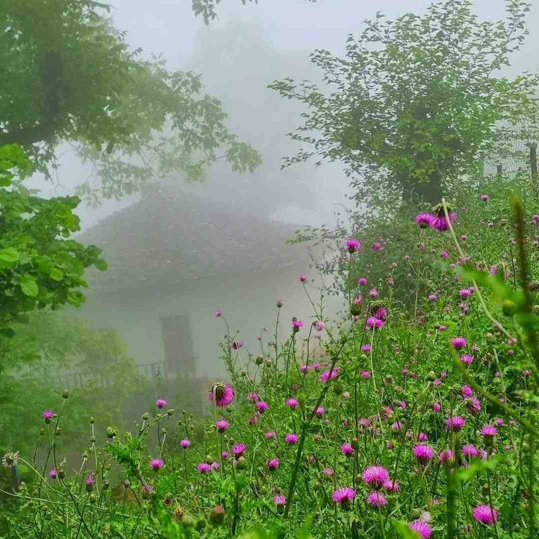 من همون مسافرم که به مقصد نرسید