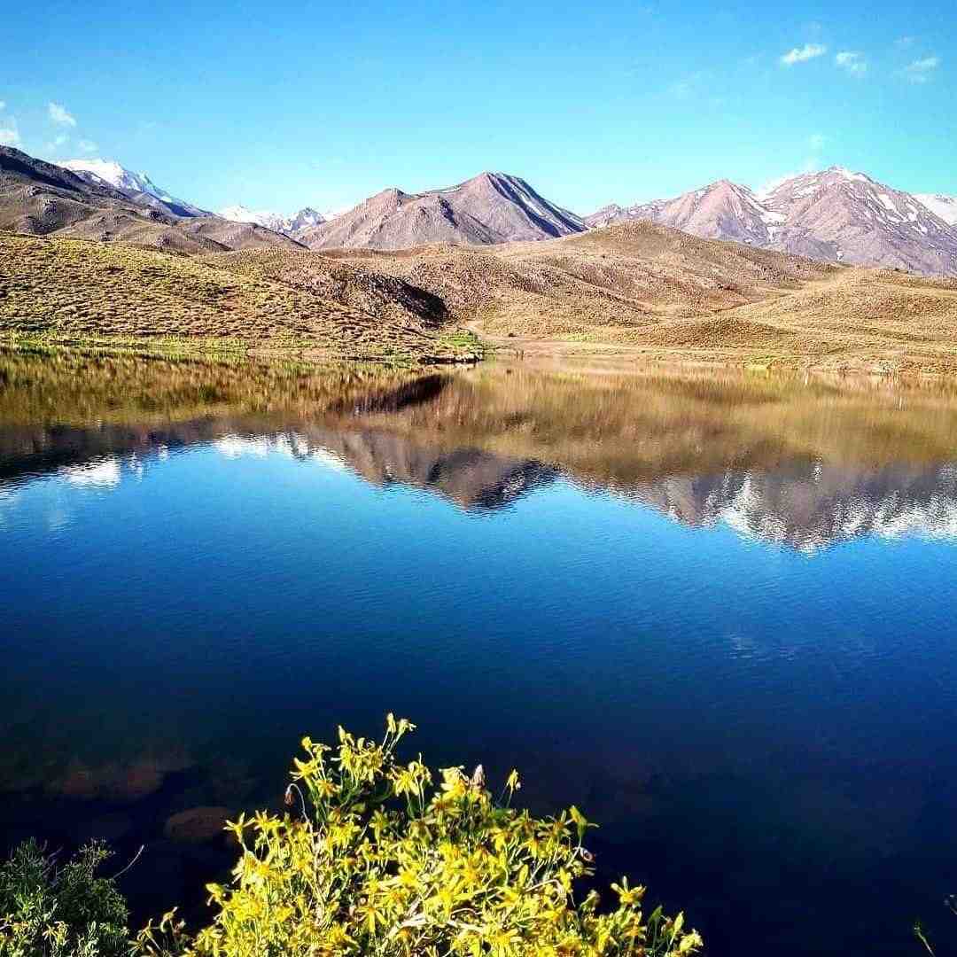 چه کنم چه کار کنم تو منو نشناختی تو ببین