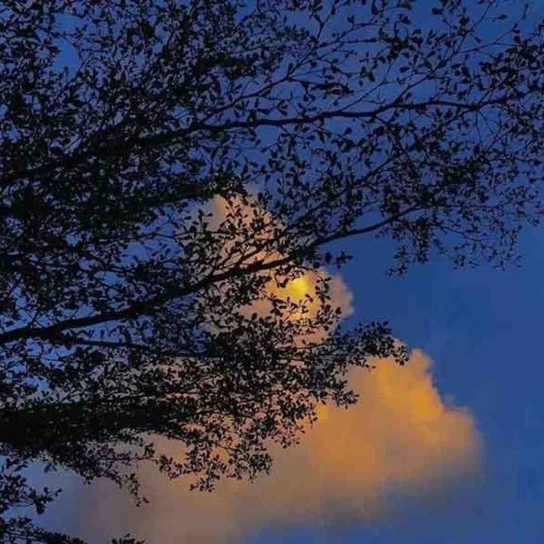 مردادیا خیلی خونگرم و مهربونن با صدای فیفی