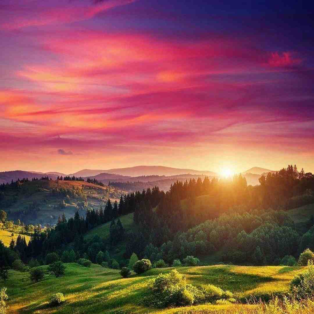  گل بیا تیم بشین تو طبیب دردم – صدای پسر اینستایی
