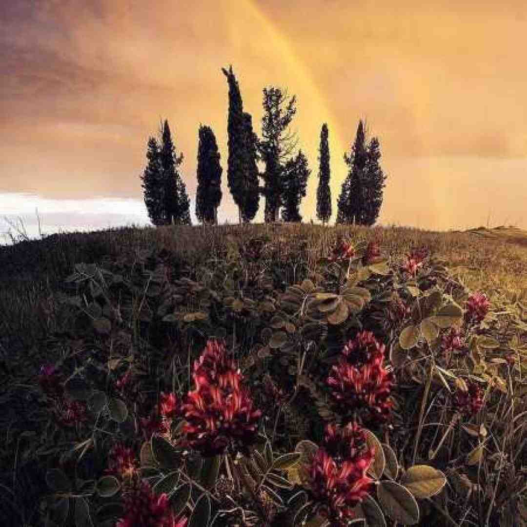 برو حاجی مارو بی خیال میکاپ فیلم سینمایی به ما نمیاد