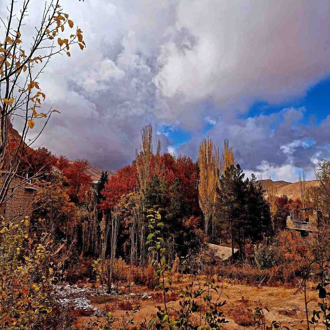  یکی چاقه یکی لاغر یکی تجملیه