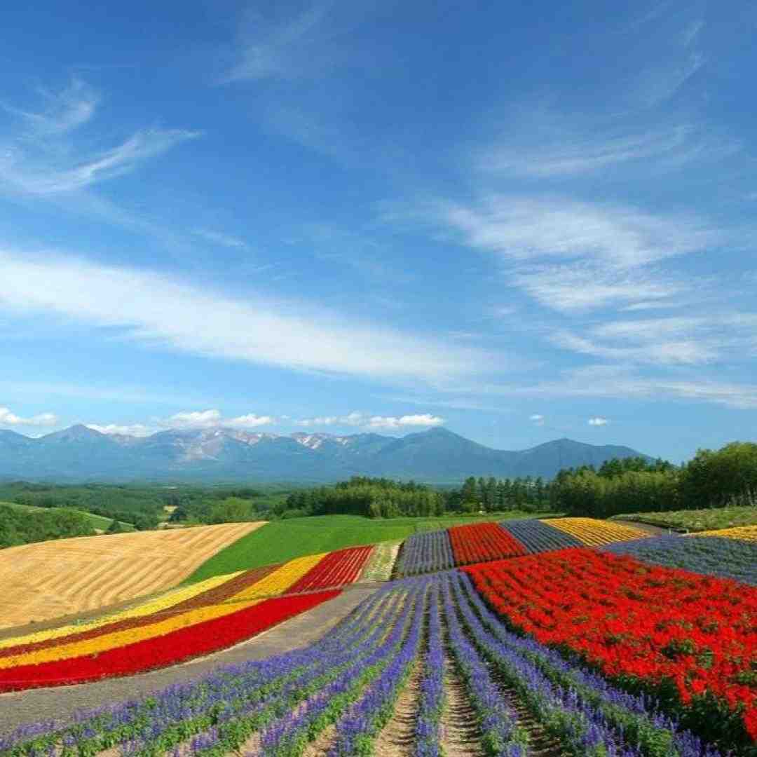  تو خوبی که من پیگیرم