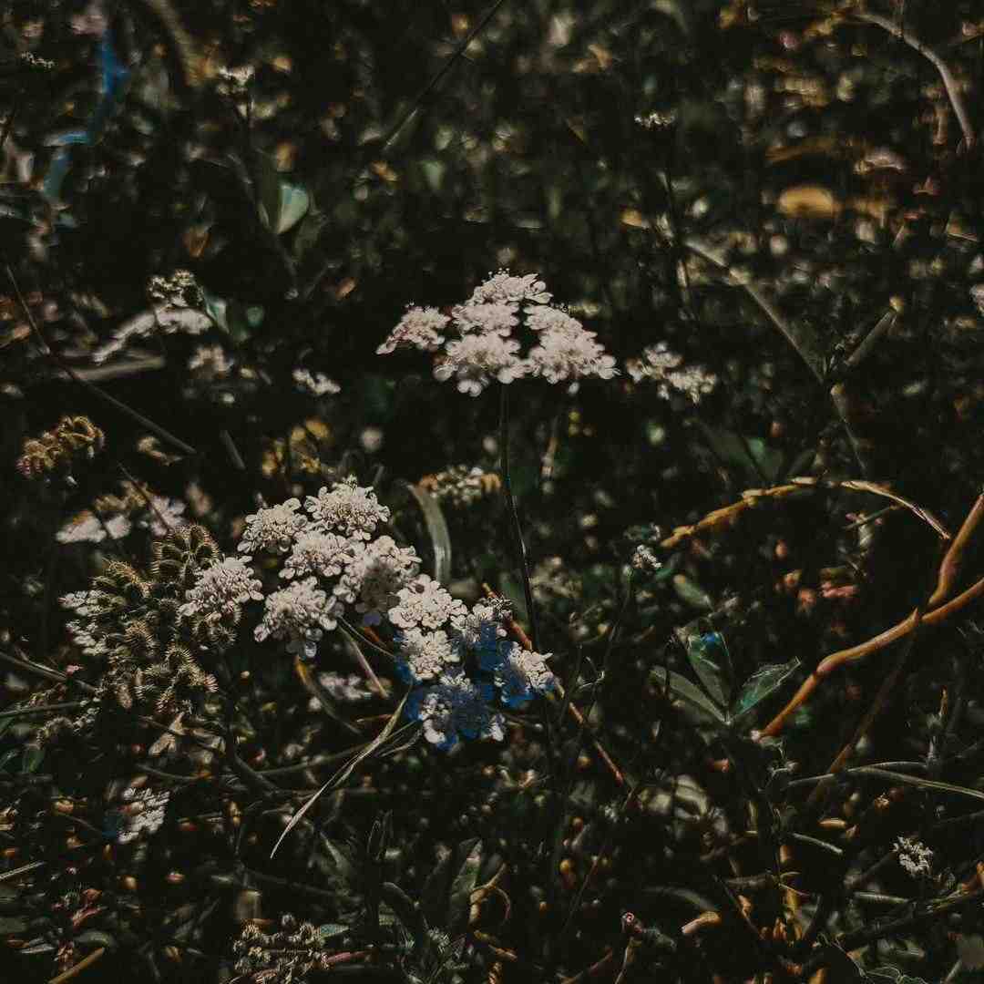 ای عشق بچه ای مو همبازی قدیمی اینستایی