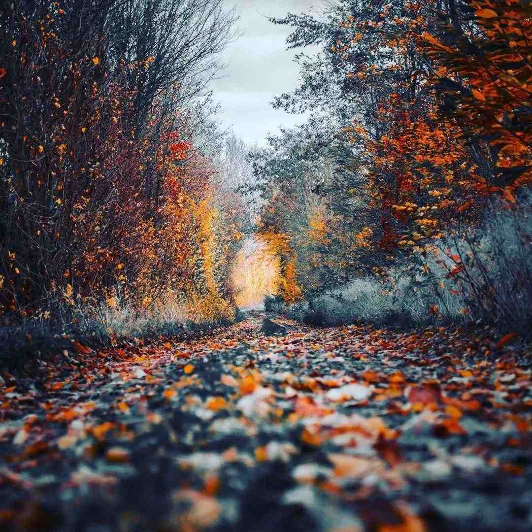 با تو همه چی خوب بود ولی دروغ بود