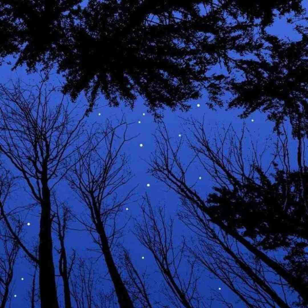  وان تو تری فور - چالش ترند اینستاگرام