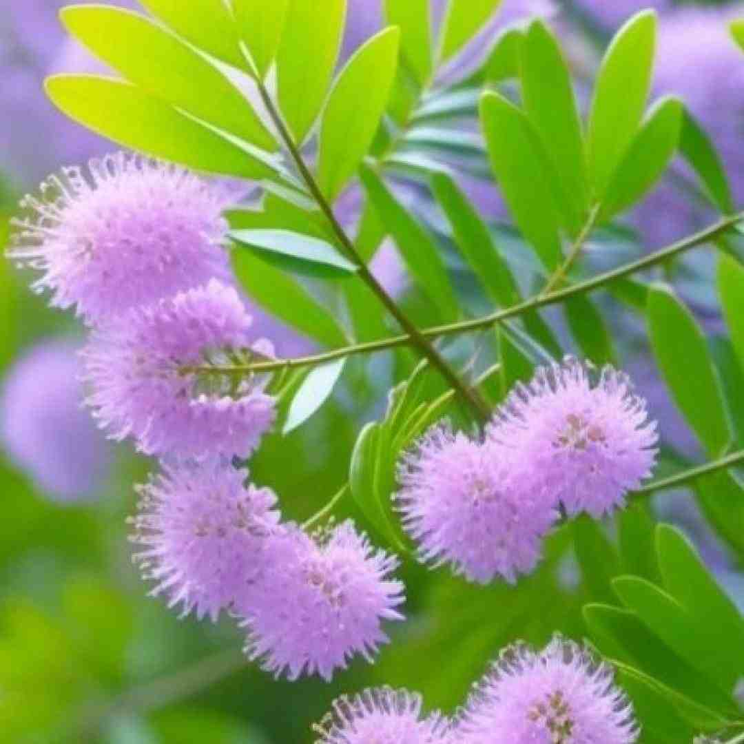 بمیرم من واسه اون دل شکسته با صدای زن ترکیبی