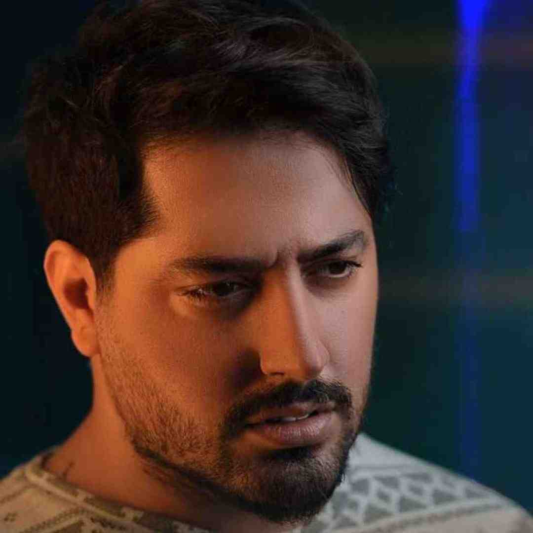 میلاد بابایی نفهمیدم داری سرد میشی اون آخراش