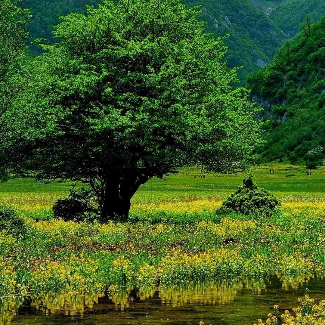  آره من بلدم تنهاییو حداقل – صدای دختر