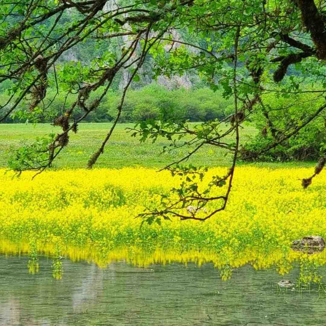  نفهمیدم بوده حرفت چی وگرنه که مشکل توی اکسنت نیست