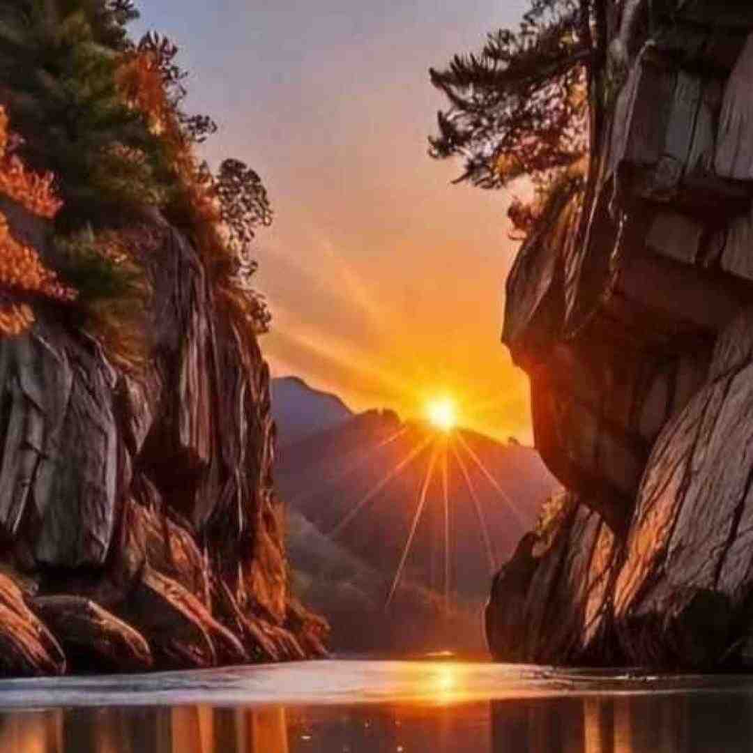 دشی واسه ی خندت زدم گل به خودی فکر کنی که بردی