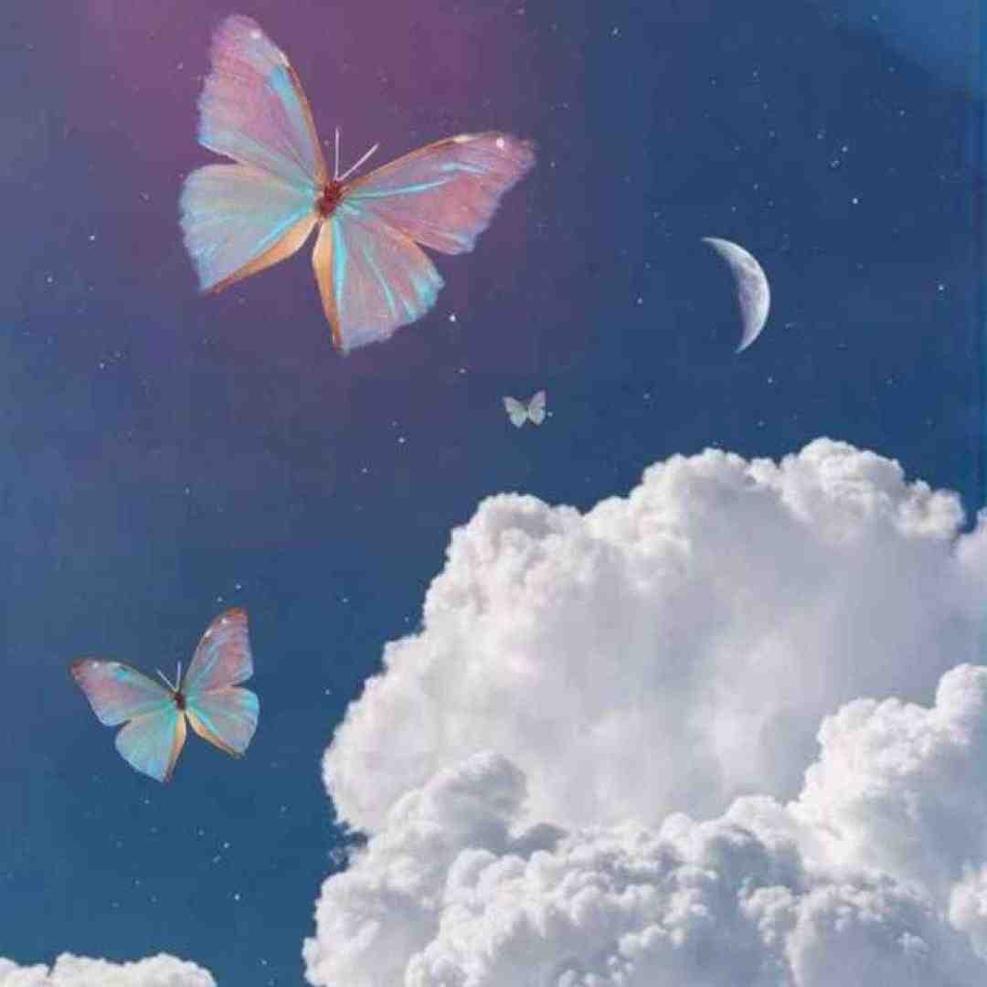  از سر تا پا نازه این قد و قواره