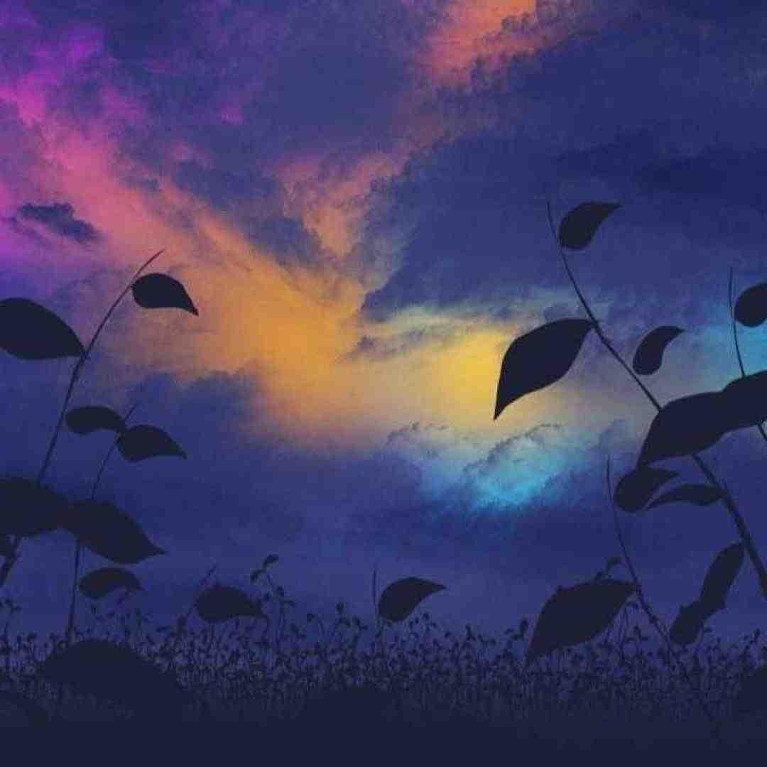  بی خبر رفتی و خبر از دل بی قرارم نداری آتشم میزند با صدای زن