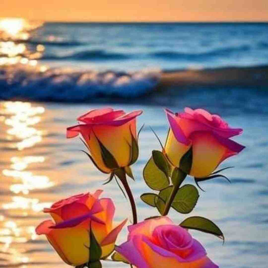  امشب به بر ماه است و آن مایه ی ناز