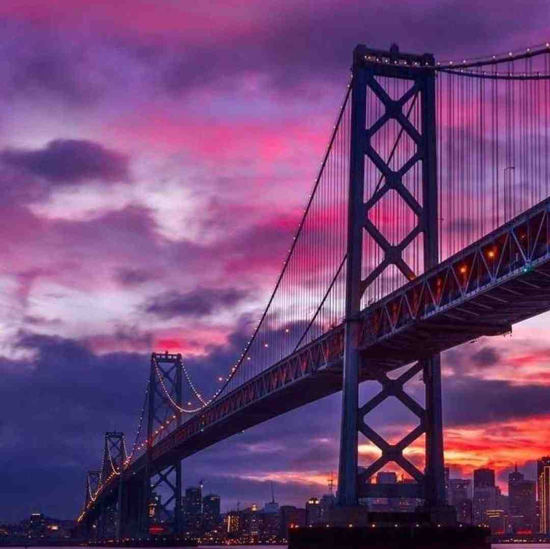  بیشداگیدر بیدر بیدر دست دراز بیدر بیدر