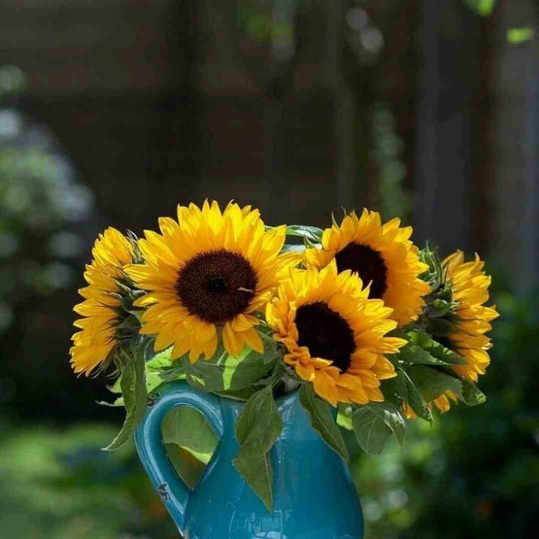 میخونم آخ که دیگه فرنگیس عشق تو با صدای دختر