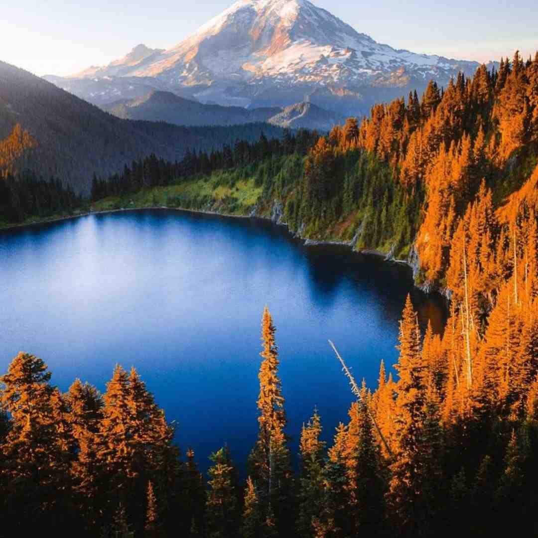 به جهنم که شکست بغض من با صدای بچه