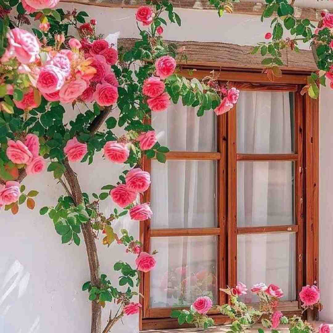 دور همیم ولی جات خالیه نیستی با صدای پسر اینستایی