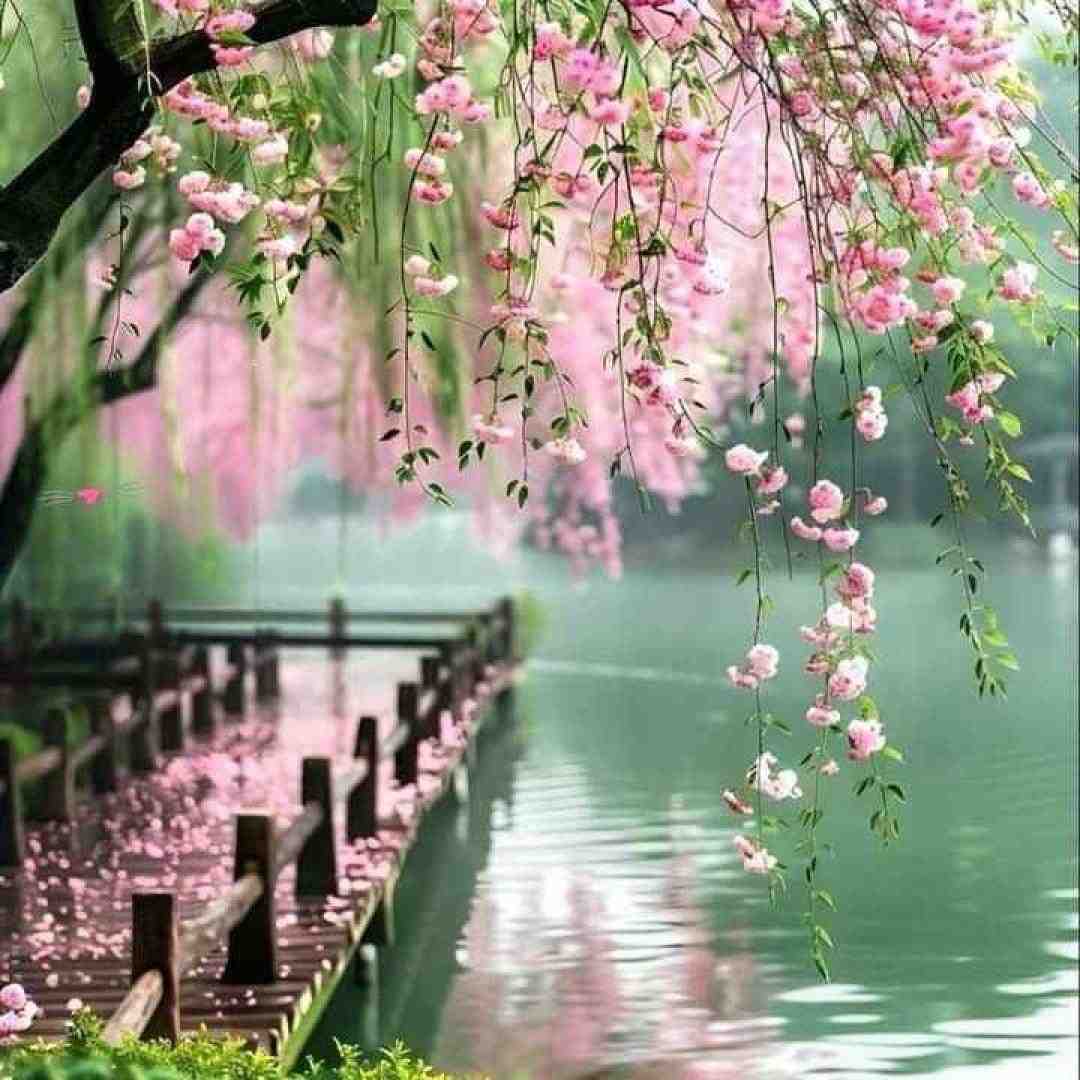 دختر ایرونی هم صدای من خون شرقیه تو رگای من