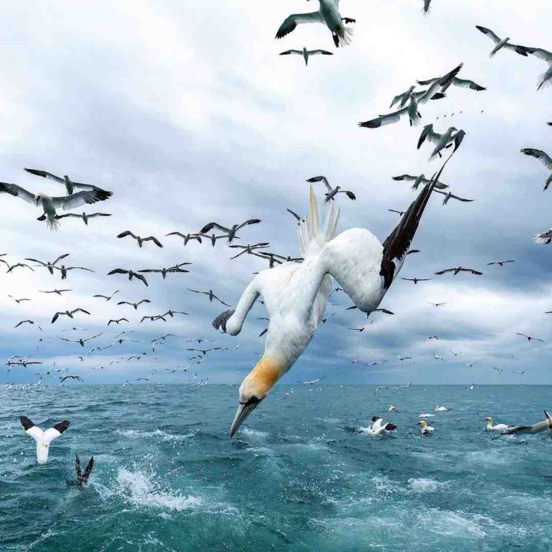  این دفعه رد شو ازم یجور که نه اصلا تو نه من با صدای بچه