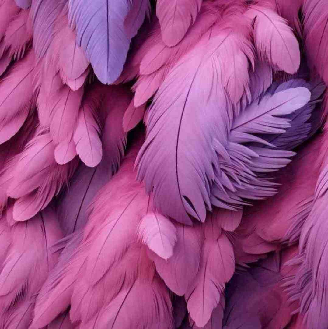 میبینم صورتمو تو آینه با لبی خسته با صدای زن