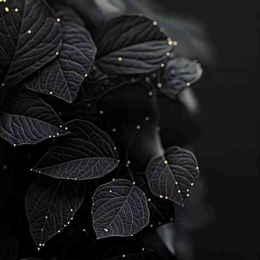 اسی بیت انتظار