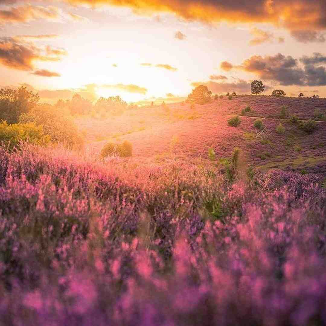 ای بی پلنه نوک تیز مثل هرمه